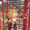 휴앤정 이미지