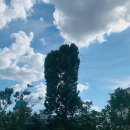 새스마일분식 이미지