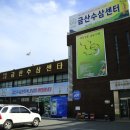 금산돈