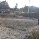 우리밀밭 이미지