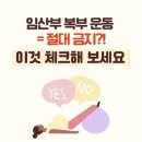 녹번동물병원 | 녹번역 임산부 필라테스 '복부 운동' 절대 금지? 이것 체크해 보세요[필독]