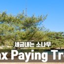 만수당