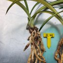 세광농원 이미지