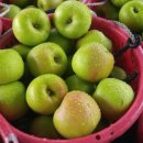 의항농장 이미지