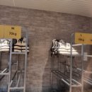 디 오아시 이미지