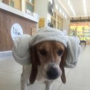 엘케이동물의료센터 이미지