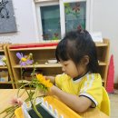 [8월 3주] 꽃꽂이🌻 &amp; 왕 문어 게임🐙 &amp; 바다속 풍경🌊 이미지