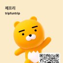 공항여행사