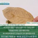 당뇨 걱정된다면 꼭 먹어야 하는 '천연 인슐린'! 이미지