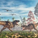 MUSCLE UP STORY 이미지