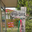 노양1리마을회관 | 2026.4.22..경기 평택섶길 2-1 코스 장서방네 노을길