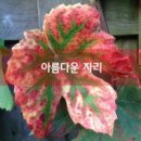 아름다운 - 북구 | 아름다운