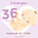 오케이크 아산점 | [임신 36주~37주] 서울아산 태동&amp;막달검사 | 임신 10개월 증상, 배크기 | 철분주사