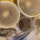 송주불냉면부천남부점 이미지