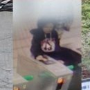 북한산 오른 뒤 실종된 50대 여성, 28일 만에 숨진 채 발견 이미지