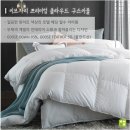신월이불