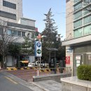 청파동주민센터 | 용산 [남영돈] 구워주는 항정살 찐맛집 내돈내산 후기