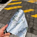 로라애슐리 양산 우산 후기