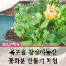참살이 아트 | 옥포읍 참살이농장 꽃화분 만들기 체험 후기, 송해공원 인근 가볼 만한 곳 :: 예쁜 봄꽃 화분 득템했어요
