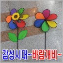 바람개비(1+1) 이미지