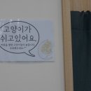 캣살롱코코 이미지