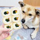 쏭스토랑 이미지