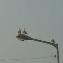 바람아래 이미지