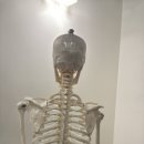 조선생 헬스·PT 이미지