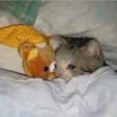 갤러리비타민약국 이미지