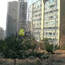 죽전로264번길 이미지