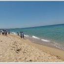 청춘바다 이미지