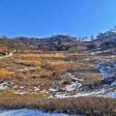 보은 삼년산성 이미지