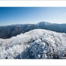지리산 - 부천시 소사구 은성로 40 | 지리산