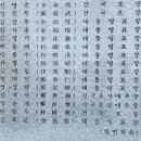 동가골 | 고향에서 편안한 꿀잠을 자고 우산공원 힐링숲을 산책하며 고향의 향수를 느껴봤어요