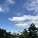 내포신도시 다목적운동장 | [자연휴양림 후기]홍성 용봉산자연휴양림 휴양관 수선화 용봉산 정상 등반 용봉산 고양이