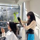 헤어미용자격증 이미지