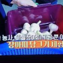 역전의 부자농부 전통의 통마늘장아찌 이미지