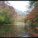 남도1번지 이미지