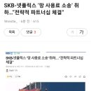 SKB,넷플릭스와 제휴 이미지