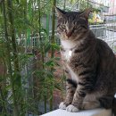 서울연광초등학교 이미지