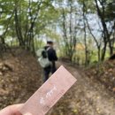 경주시여성행복드림센터 학습공간1 | EP.1 경주 곳곳 : 당일치기 등산여행 ⛰️ [토함산-석굴암-불국사-천마 맷돌순두부-미추왕릉-첨성대-핑크...