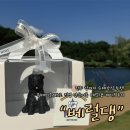 반려견을 위한 건강한 한입: 수제 간식 만들기(화요일반) | 진주 강아지 수제간식 추천! 원데이클래스로 직접 만들어본 강아지 케이크 후기 | 베럴댕