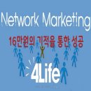 휴먼네트워크 | 포라이프 네트워크 비즈니스 사업 구조와 시스템 개요