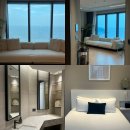 르컬렉티브 해운대 패러그라프 | 부산 가성비 숙소 해운대 뷰 숙소 르컬렉티브 패러그라프 후기