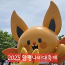2025 함평나비축제 방문기｜아이와 돗자리 챙겨 가볼만한 봄 축제