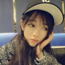 키쿠 이미지