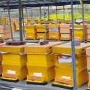 숙이네농장 이미지