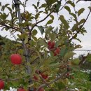 방우농장 이미지