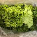 추월농장 이미지