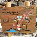 여울목횟집 | 광양매화마을, 매화꽃보러 출발~(축제기간, 주차장, 개화상태)